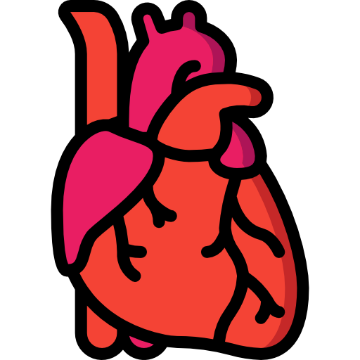 Heart Basic Miscellany Lineal Color icon