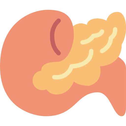Pancreas Basic Miscellany Flat icon