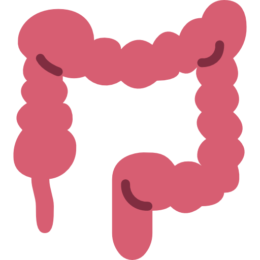 Colon Basic Miscellany Flat icon