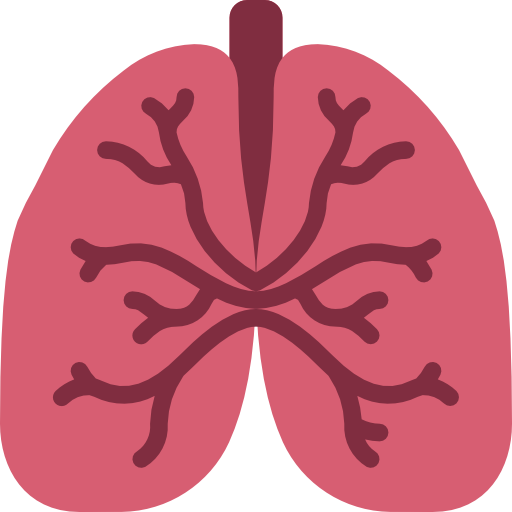 肺 Basic Miscellany Flat icon