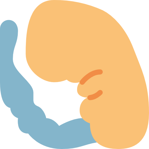 Embryo Basic Miscellany Flat icon