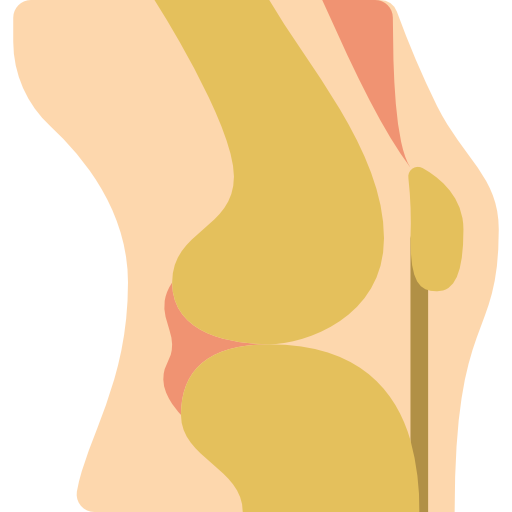 Knee Basic Miscellany Flat icon