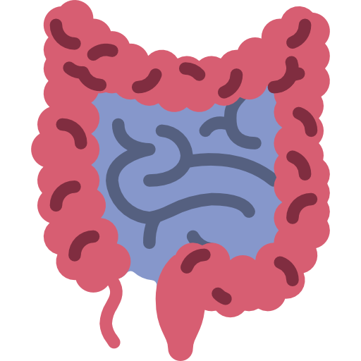 intestinos Basic Miscellany Flat icono