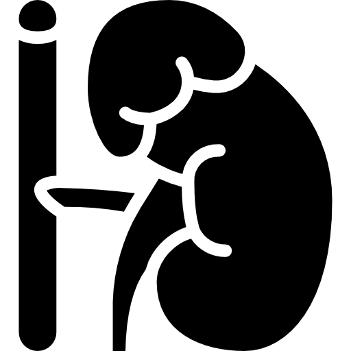 glándula suprarrenal Basic Miscellany Fill icono