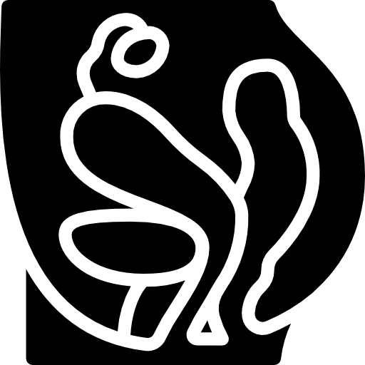 Área pélvica Basic Miscellany Fill icono