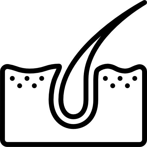 dermis Basic Miscellany Lineal icono