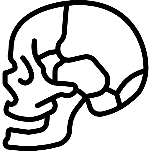 czaszka Basic Miscellany Lineal ikona