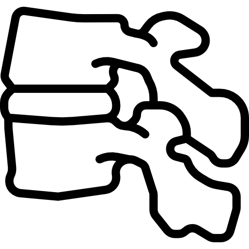 vértebra Basic Miscellany Lineal icono