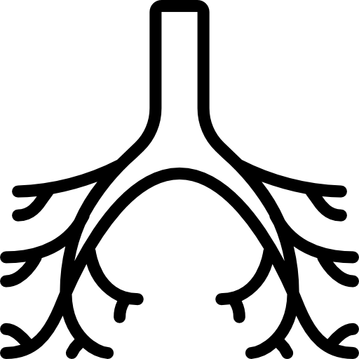bronquios Basic Miscellany Lineal icono