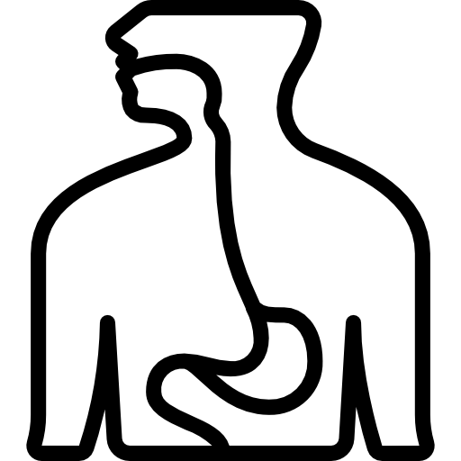 esófago Basic Miscellany Lineal icono