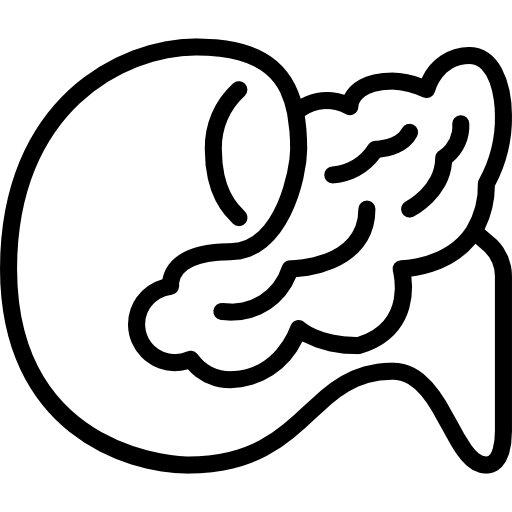 páncreas Basic Miscellany Lineal icono