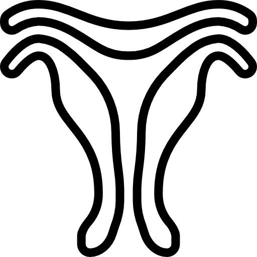 Uterus Basic Miscellany Lineal icon