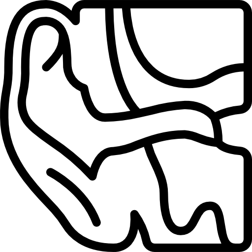 ucho Basic Miscellany Lineal ikona