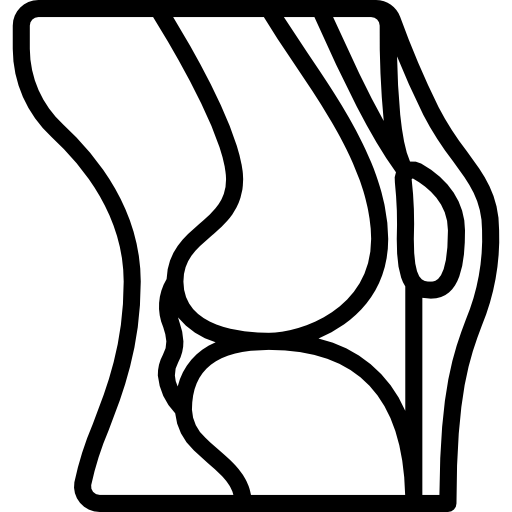 rodilla Basic Miscellany Lineal icono