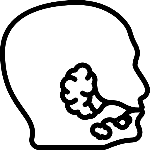 Salivary glands Basic Miscellany Lineal icon