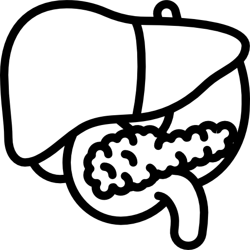fegato Basic Miscellany Lineal icona