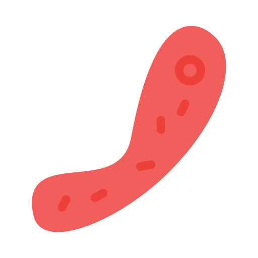 Microorganisms Generic color fill icon