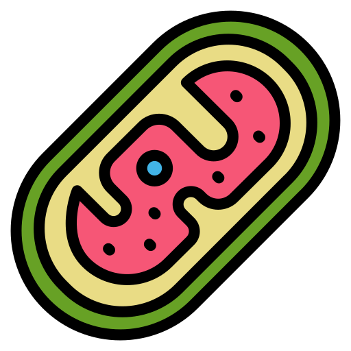 mitocondri Generic color lineal-color icona