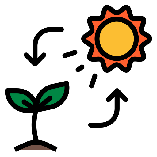 fotosíntesis Generic color lineal-color icono