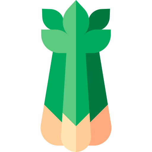 celery Basic Straight Flat icon