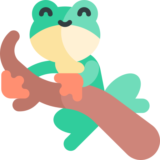 Frog  Kawaii Flat icon