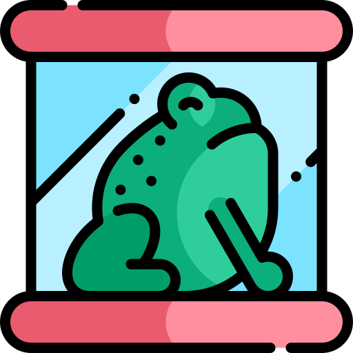 두꺼비 Kawaii Lineal color icon