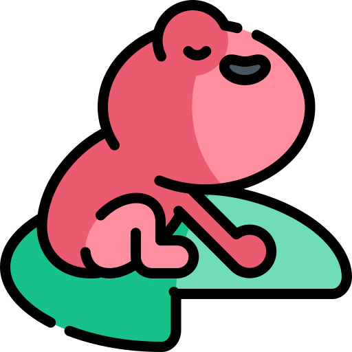 Toad Kawaii Lineal color icon