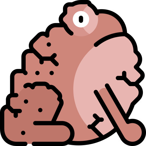 두꺼비 Kawaii Lineal color icon