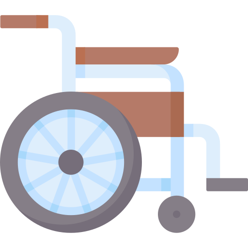 rollstuhl Special Flat icon