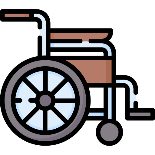 휠체어 Special Lineal color icon