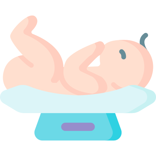 babygewicht Special Flat icon