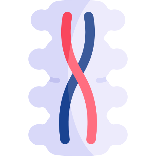 Spinal cord Kawaii Flat icon