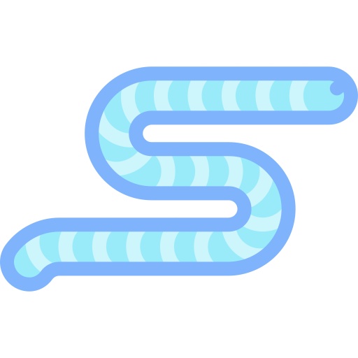 Caecilian Detailed color Lineal color icon