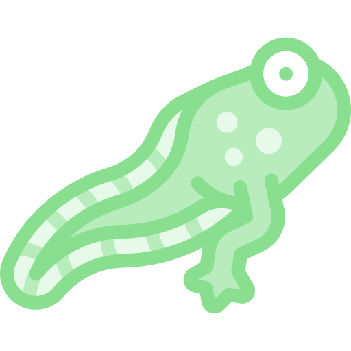 Tadpole Detailed color Lineal color icon