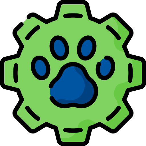 Animal Special Lineal color icon