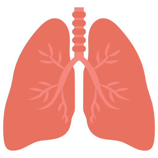 肺 Generic color fill icon