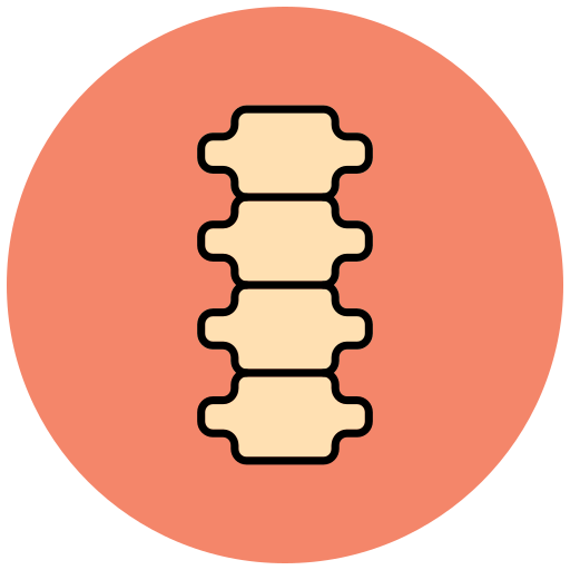 Columna vertebral Generic color lineal-color icono