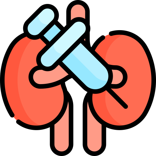 Kidney Kawaii Lineal color icon