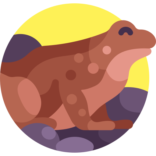 Tailed frog Detailed Flat Circular Flat icon