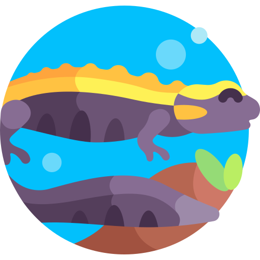 Warty newt Detailed Flat Circular Flat icon