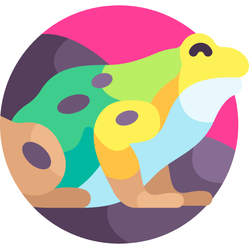 蛙 Detailed Flat Circular Flat icon