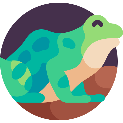 True frog Detailed Flat Circular Flat icon