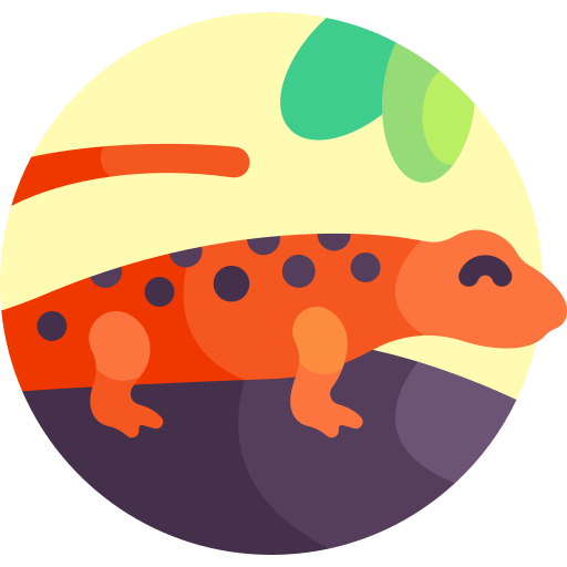 salamandra błotna Detailed Flat Circular Flat ikona