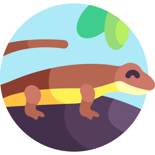 Torrent salamander Detailed Flat Circular Flat icon