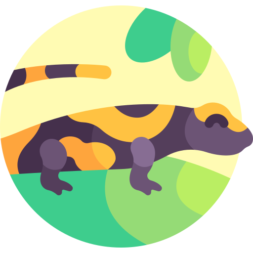 feuersalamander Detailed Flat Circular Flat icon