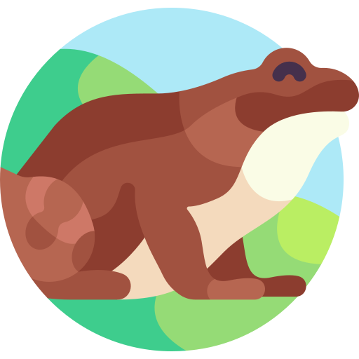 Wood frog Detailed Flat Circular Flat icon