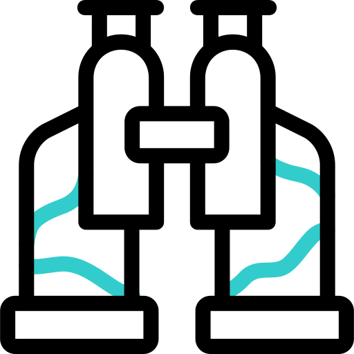 binocolo Basic Accent Outline icona