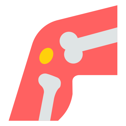 Joint Generic color fill icon