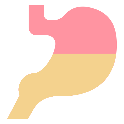 estómago Generic color fill icono