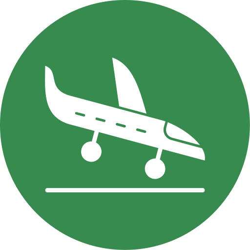 landung Generic color fill icon
